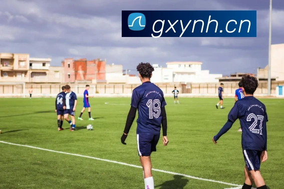 hth官网首页网址入口平台生态图